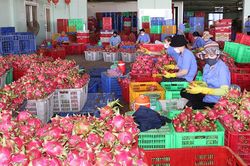 Vượt qua khó khăn, nỗ lực tìm lại đà tăng trưởng