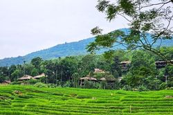 Thanh Hóa tổng thu du lịch đạt 22.477 tỷ đồng