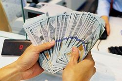 Tỷ giá ngoại tệ hôm nay 4/9: Đồng USD duy trì đà tăng