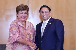 Việt Nam sẵn sàng cùng IMF triển khai các biện pháp thúc đẩy phục hồi kinh tế