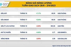 Giá hàng hóa nguyên liệu tiếp tục phục hồi tuần thứ hai