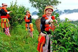 Quảng bá thương hiệu sản phẩm qua hoạt động văn hóa - du lịch