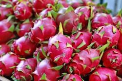 Làm rõ thông tin một số siêu thị ở Anh dừng bán thanh long Việt Nam