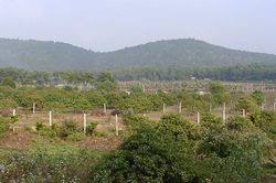 Hà Nội tạo thuận lợi khai, nộp thuế sử dụng đất phi nông nghiệp