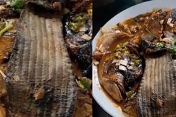 Thực khách kinh hãi gắp phải nguyên miếng lót giày trong đĩa cá kho