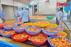 Linh hoạt điều kiện vay để hỗ trợ doanh nghiệp 'khỏe', có sẵn đơn hàng