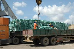 Đà tăng 'phi mã' của giá gạo xuất khẩu có thể sớm được kiềm chế?