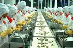 Thu về hơn 22 triệu USD, Sao Ta (FMC) có tháng tăng trưởng dương đầu tiên trong năm