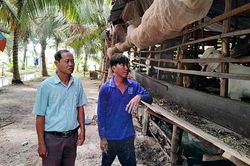 Chủ tịch Hội Nông dân phường gương mẫu làm theo gương Bác