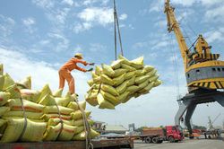Việt Nam là nhà cung cấp có uy tín, chất lượng cho thị trường Indonesia