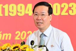 Chủ tịch nước Võ Văn Thưởng: Phong trào thanh niên tình nguyện của TPHCM là gam màu đầy sức sống