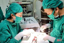 Bệnh viện tuyến huyện ở Hà Tĩnh 'cứu' bàn tay bị máy cưa cắt trúng