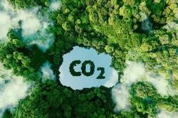 Giải bài toán vốn để phát triển thị trường tín chỉ carbon cho TP. Hồ Chí Minh