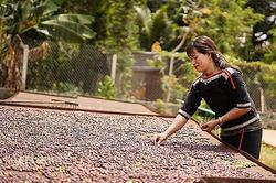 Na Uy tăng mua cà phê từ thị trường Việt Nam