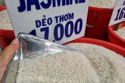 VFA nêu lý do doanh nghiệp thua lỗ khi giá gạo xuất khẩu tăng