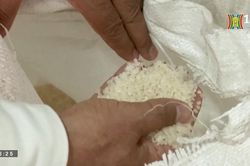 Tunisia: Thiếu gạo khiến nền kinh tế càng khó khăn