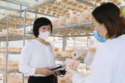 Doanh nghiệp sản xuất nỗ lực tìm kiếm thị trường mới