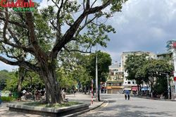 Thời tiết hôm nay 6/9: Bắc Bộ nắng mạnh, Trung Bộ, Nam Bộ mưa to cục bộ