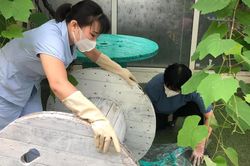 Huyện Thanh Trì ghi nhận 575 ca sốt xuất huyết
