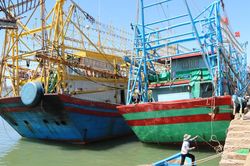 Đẩy mạnh các giải pháp chống khai thác hải sản trái phép