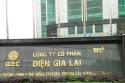 Điện Gia Lai sắp nhận hơn 44 tỷ đồng cổ tức từ công ty con