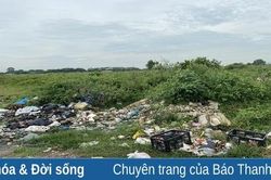 Rác thải 'làm khổ' hành lang quốc lộ