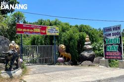 Kiểm tra hiện trạng tại khu vực suối Lương.