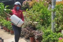 Cửa hàng hoa, cây cảnh mọc lên như nấm phục vụ 'thượng đế' thành thị