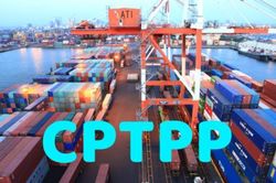 Bổ sung 3 nước được áp dụng thuế xuất nhập khẩu ưu đãi theo Hiệp định CPTPP