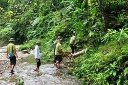Nhân rộng hương ước giữ rừng
