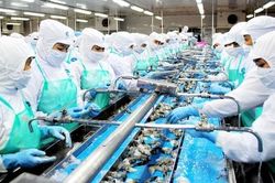 Mỹ là thị trường xuất khẩu số 1 của Việt Nam