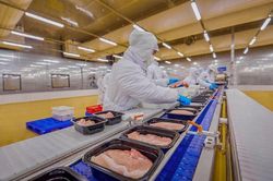 Giá heo hơi hôm nay 8/9: Giá heo hơi tiếp đà leo dốc, có thể vươn tới mốc 70.000 đồng/kg