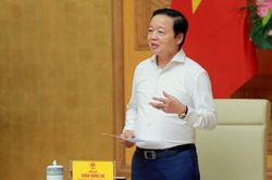 Quy định rõ trách nhiệm của cơ quan báo chí khi quảng cáo thực phẩm bảo vệ sức khỏe