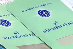 Kiểm tra liên ngành việc đóng bảo hiểm trên địa bàn TP.HCM