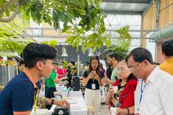 Khai mạc Gia Lai Coffee Festival với chủ đề 'Gia Lai-Vùng nguyên liệu chất lượng cao'