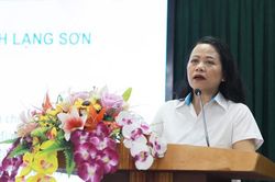 Hội LHPN tỉnh: Hội thảo phát huy vai trò đội ngũ cán bộ hội phụ nữ