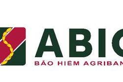 Thông báo về việc thành lập Chi nhánh Bảo hiểm Agribank Thừa Thiên Huế