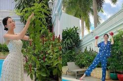 Không gian bên trong biệt thự ở khu nhà giàu của hoa hậu từng giam mình trong nhà vì bệnh cường giáp