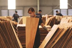 Doanh nghiệp ngành gỗ kích cầu thị trường nội địa