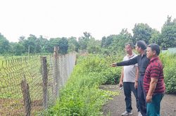 Ngang nhiên rào sân bóng làng Pnuk để trồng cây công nghiệp