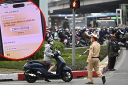 Cách xuất trình bằng lái xe trên VNeID từ ngày 15/9 người dân cần biết