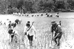 Hàn gắn vết thương chiến tranh, khôi phục và phát triển kinh tế