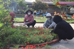 Cần có chương trình, kế hoạch cụ thể để 'Ngày Chủ nhật xanh' thường xuyên, hiệu quả