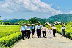 Huyện Sóc Sơn phấn đấu đưa 3 xã về đích nông thôn mới kiểu mẫu