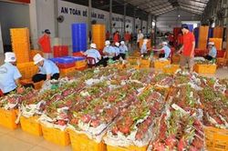 Nông sản Việt Nam có triển vọng to lớn ở thị trường Trung Quốc