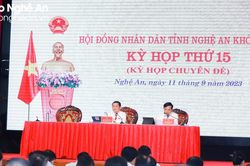 Nghệ An phân bổ bổ sung hơn 396 tỷ đồng cho Chương trình mục tiêu Quốc gia xây dựng Nông thôn mới
