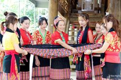 Nghệ An ban hành chính sách khuyến khích liên kết sản xuất ở vùng đồng bào dân tộc thiểu số, miền núi