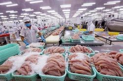Xuất khẩu thủy sản sang Mỹ tăng mạnh