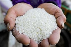 Bộ Tài chính Philippines đề xuất giảm thuế nhập khẩu để hạ giá gạo trong nước