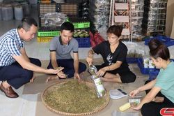 Phát huy sáng kiến, ý tưởng sáng tạo